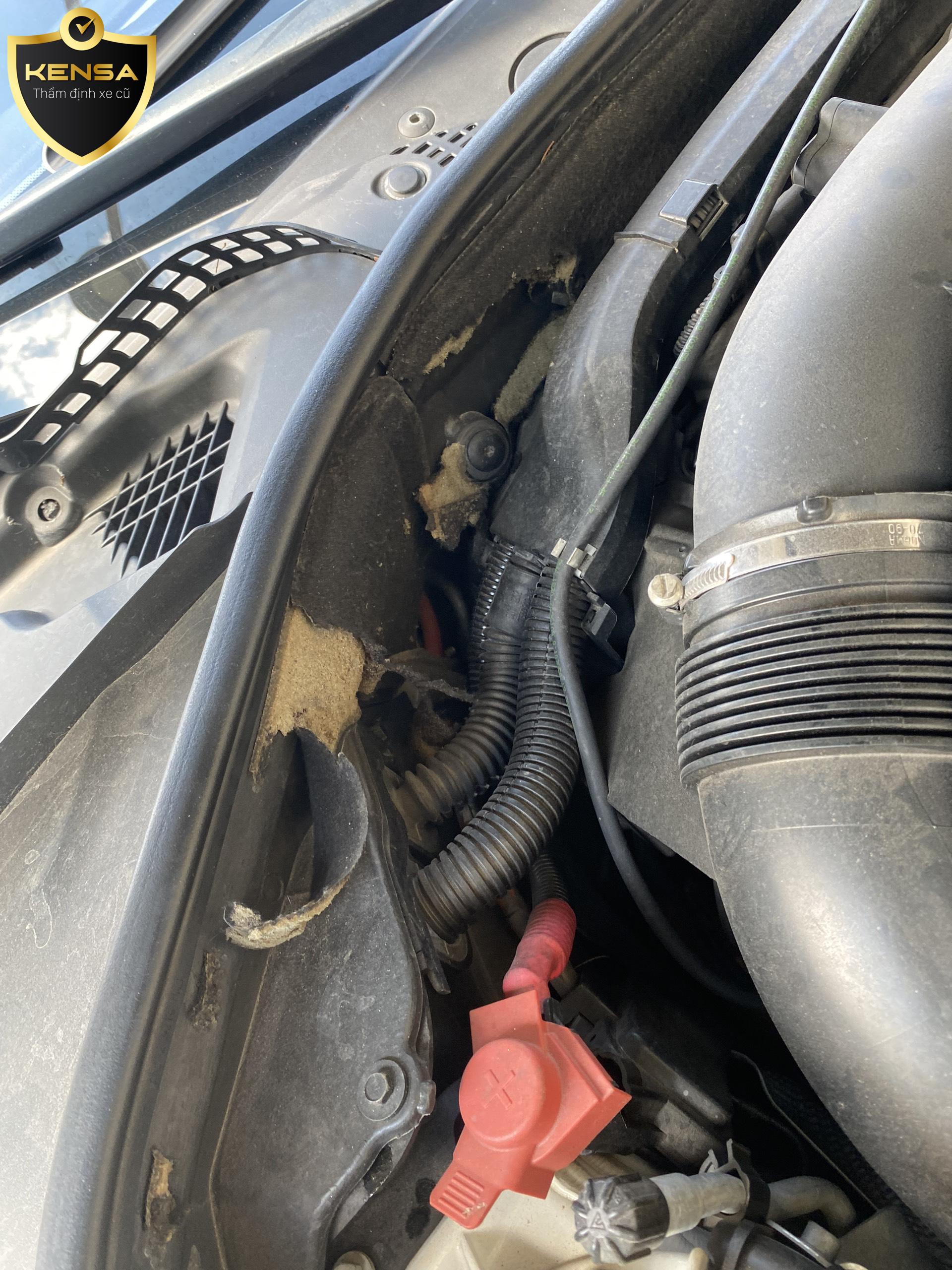 z2915591573808_7e1b8ae5966af3907d4691896e76e394 z2915591573808_7e1b8ae5966af3907d4691896e76e394