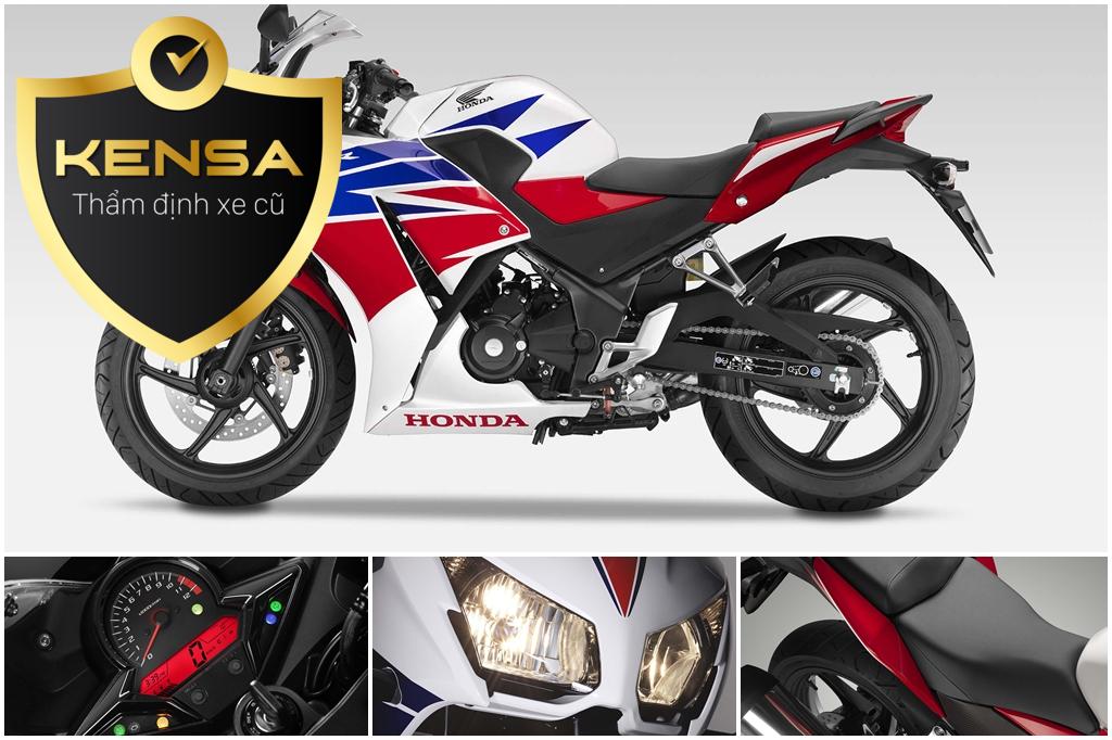 Thiết kế và kiểu dáng: Đánh giá chi tiết vẻ ngoài của Ninja 300 và R3.
